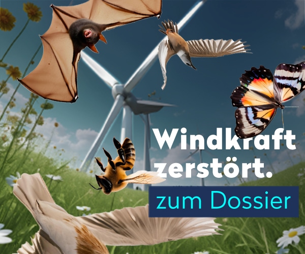 https://www.achgut.com/artikel/dossier_windkraft